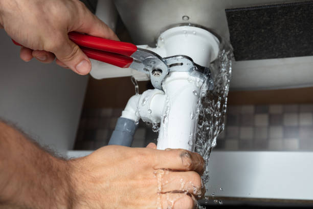 Best Professional water damage repair  in Bridgetown, MS