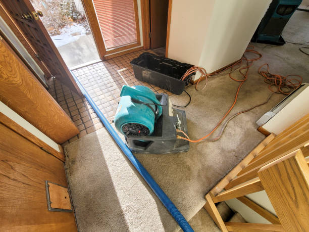 Best Flooded house restoration  in Bridgetown, MS