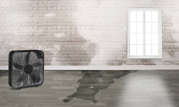  Bridgetown, MS Water damage restoration Pros