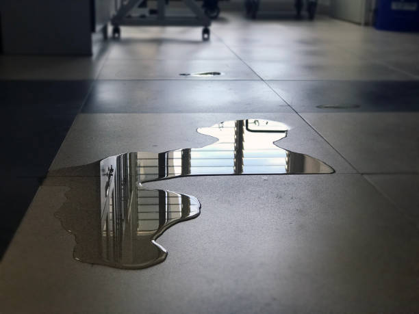 24/7 water damage repair in Bridgetown, MS