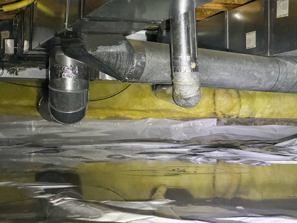 Best Water damage restoration near me  in Bridgetown, MS