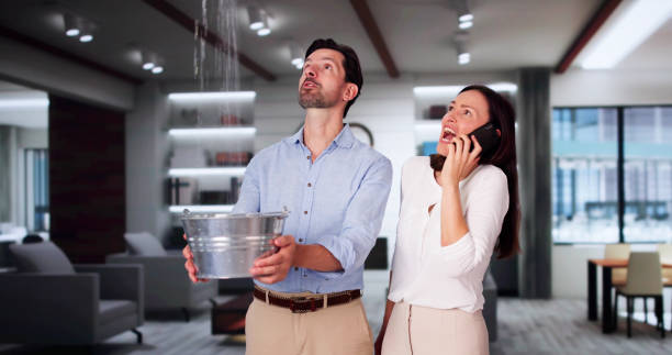 Best Flood restoration services  in Bridgetown, MS